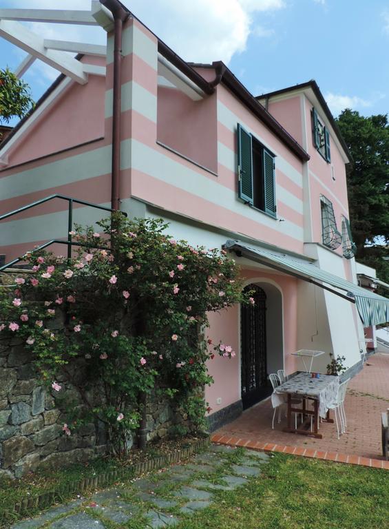 Rosmarino 3*