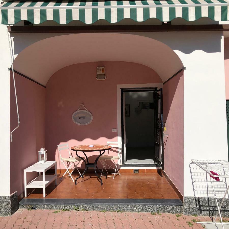 Rosmarino Celle Ligure